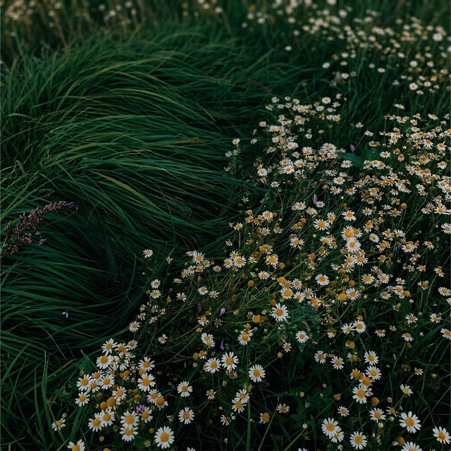 Art of Now cover