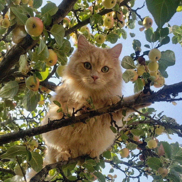 Nature cover
