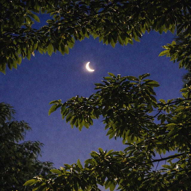 Sleepless cover