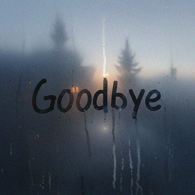 Goodbye cover