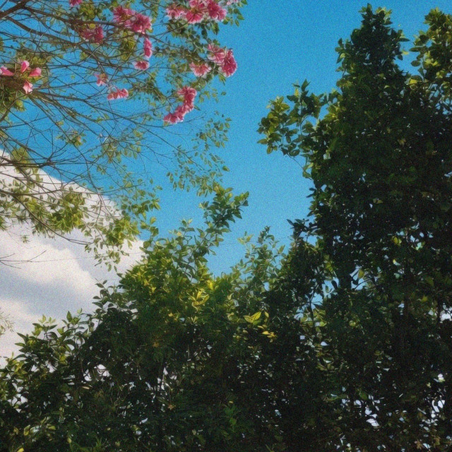 Aesthetic Day cover