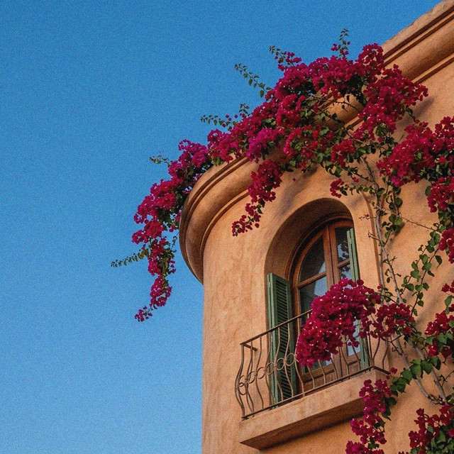 Flowers cover