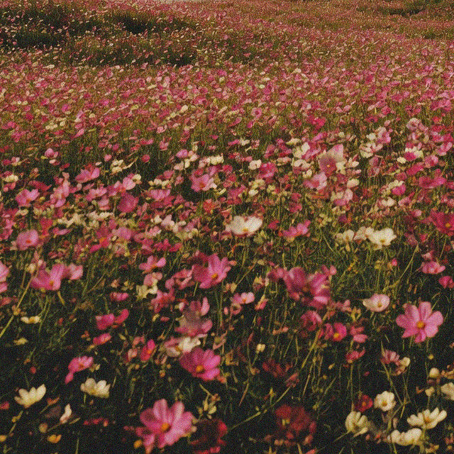 Hello May cover